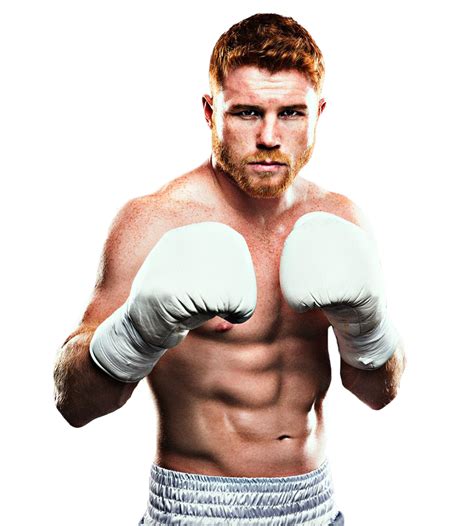 сауль альварес статистика|Сауль «Канело» Альварес (Saul «Canelo» Alvarez): биография .